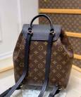 Рюкзак Louis Vuitton Montsouris PM M45515